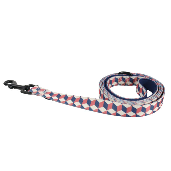 Geometric dog leash
