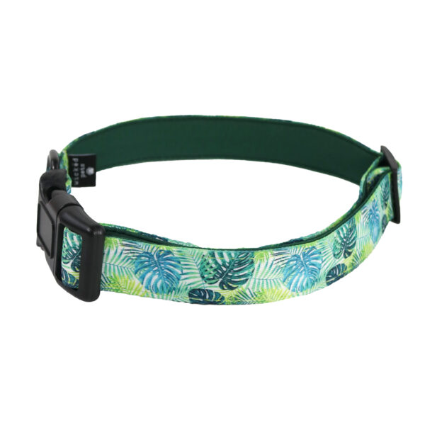 Fresh palms dog collar