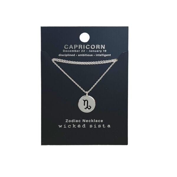 Capricorn silver zodiac disc necklace
