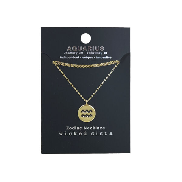 Aquarius gold zodiac disc necklace